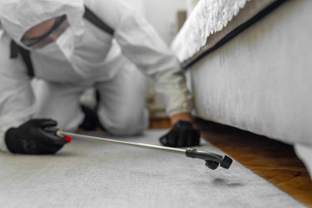 Professional Pest Control technician working in Halifax, VA