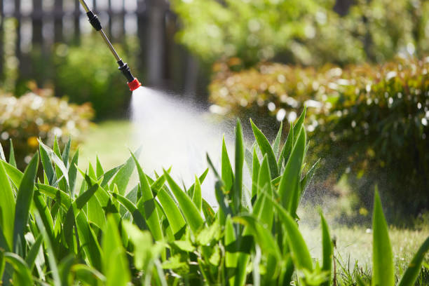 24/7 Emergency Pest Control experts in Halifax, VA