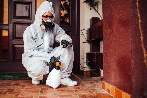 Reliable Pest Control contractor in Halifax, VA by Nex Pest Control