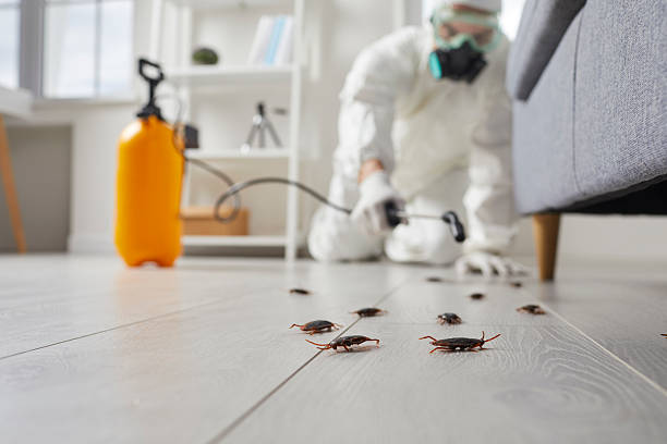 Affordable Pest Control solutions in Halifax, VA