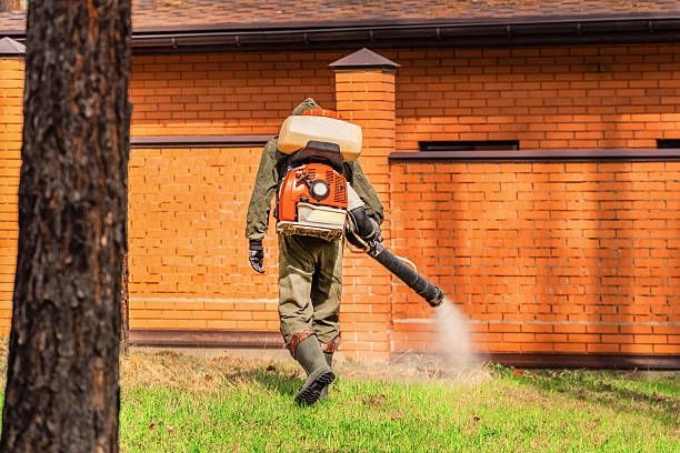 Top rated local Pest Control specialists in Halifax, VA